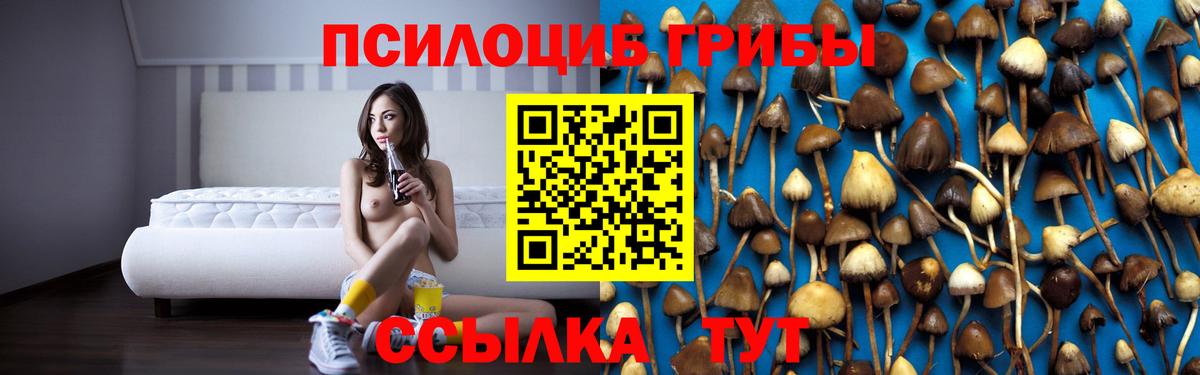Махачкала  Галлюциногенные грибы GOLDEN TEACHER  Галлюциногенные грибы GOLDEN TEACHER  Вход с VPN 